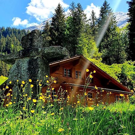 Alpenlodge Willigen Zewnętrze zdjęcie
