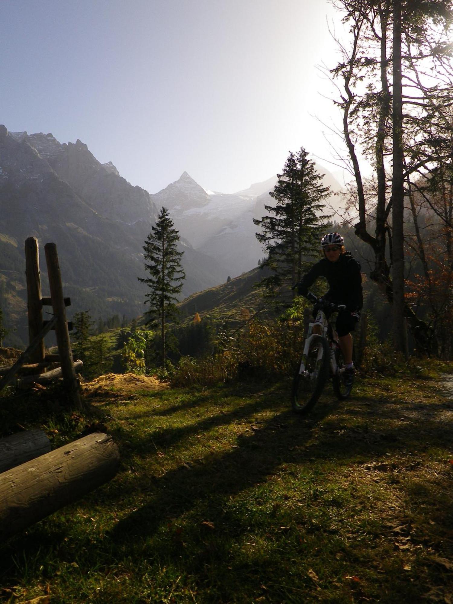 Alpenlodge Willigen Zewnętrze zdjęcie