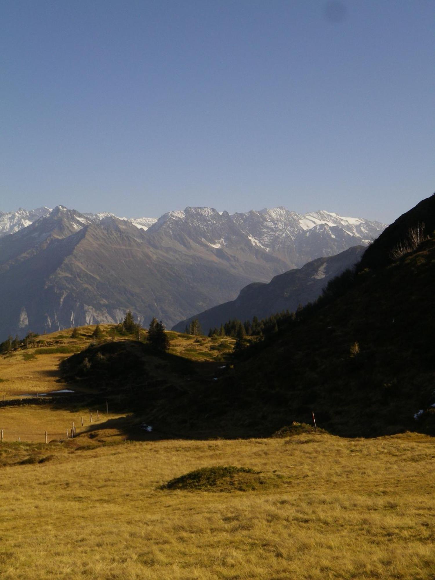 Alpenlodge Willigen Zewnętrze zdjęcie