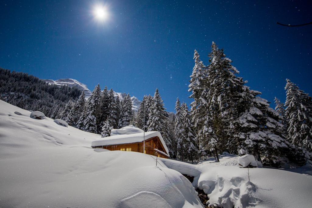 Alpenlodge Willigen Zewnętrze zdjęcie