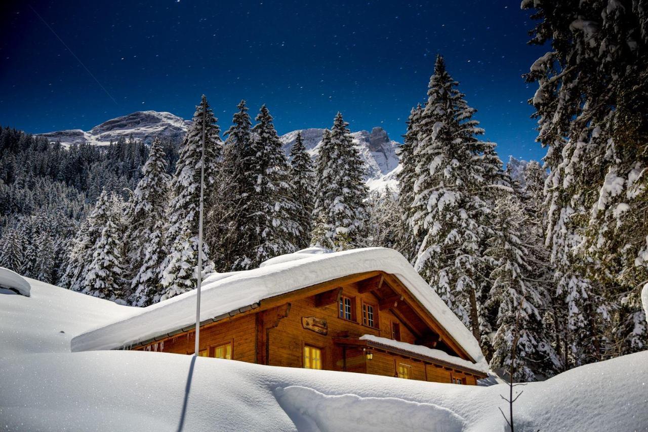 Alpenlodge Willigen Zewnętrze zdjęcie