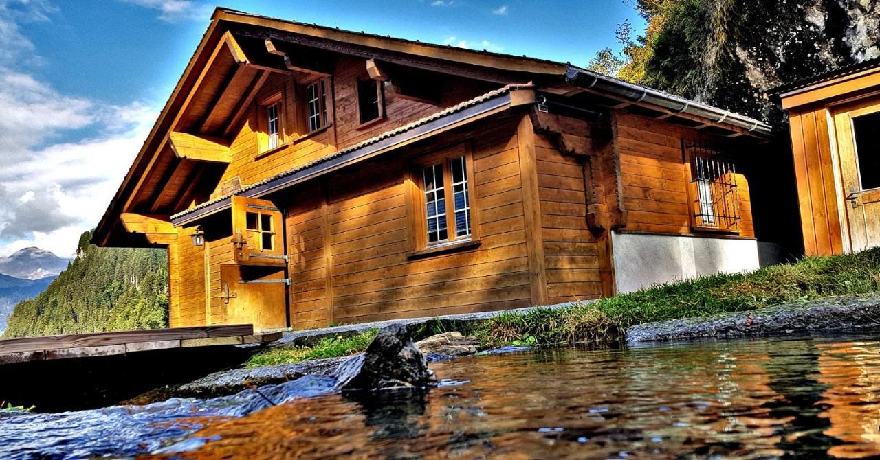 Alpenlodge Willigen Zewnętrze zdjęcie