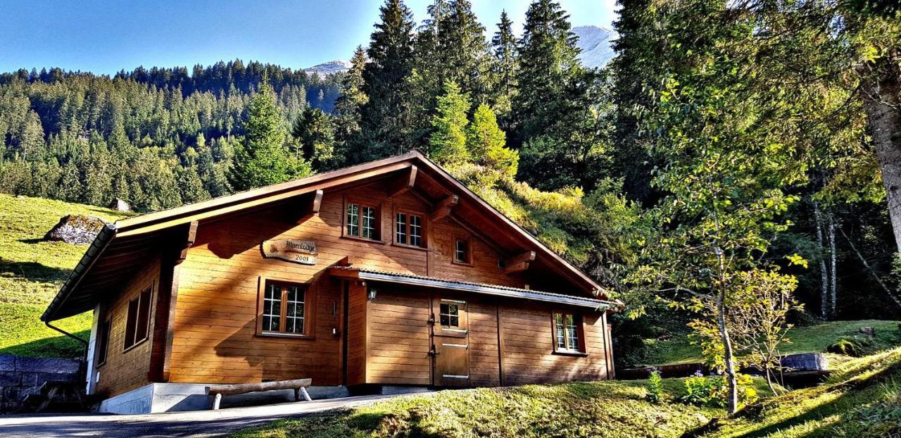Alpenlodge Willigen Zewnętrze zdjęcie