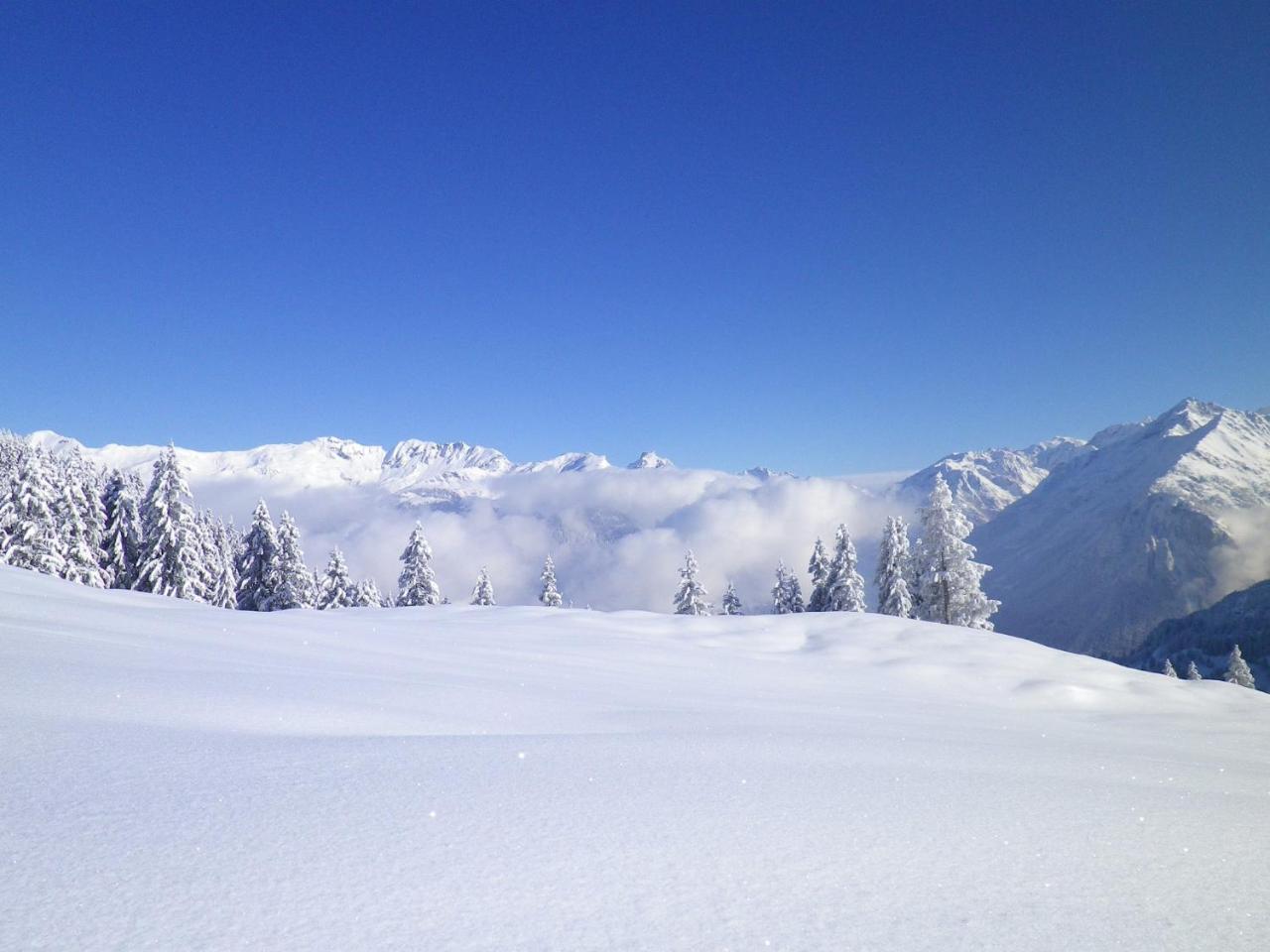 Alpenlodge Willigen Zewnętrze zdjęcie
