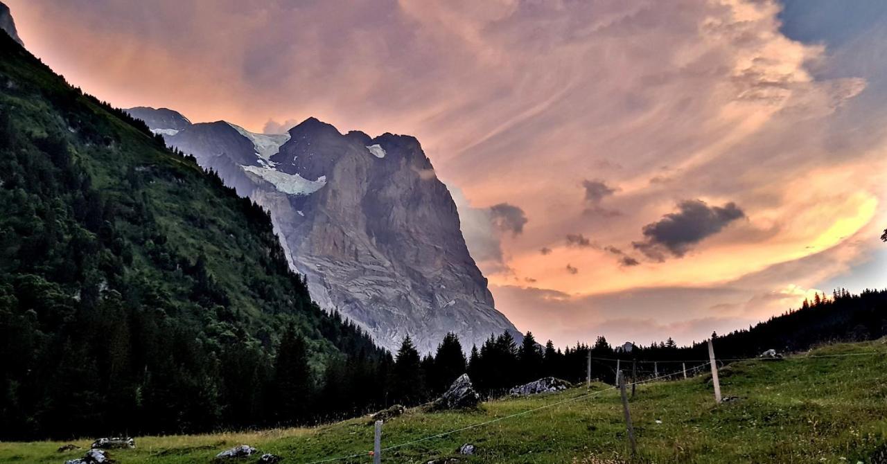 Alpenlodge Willigen Zewnętrze zdjęcie