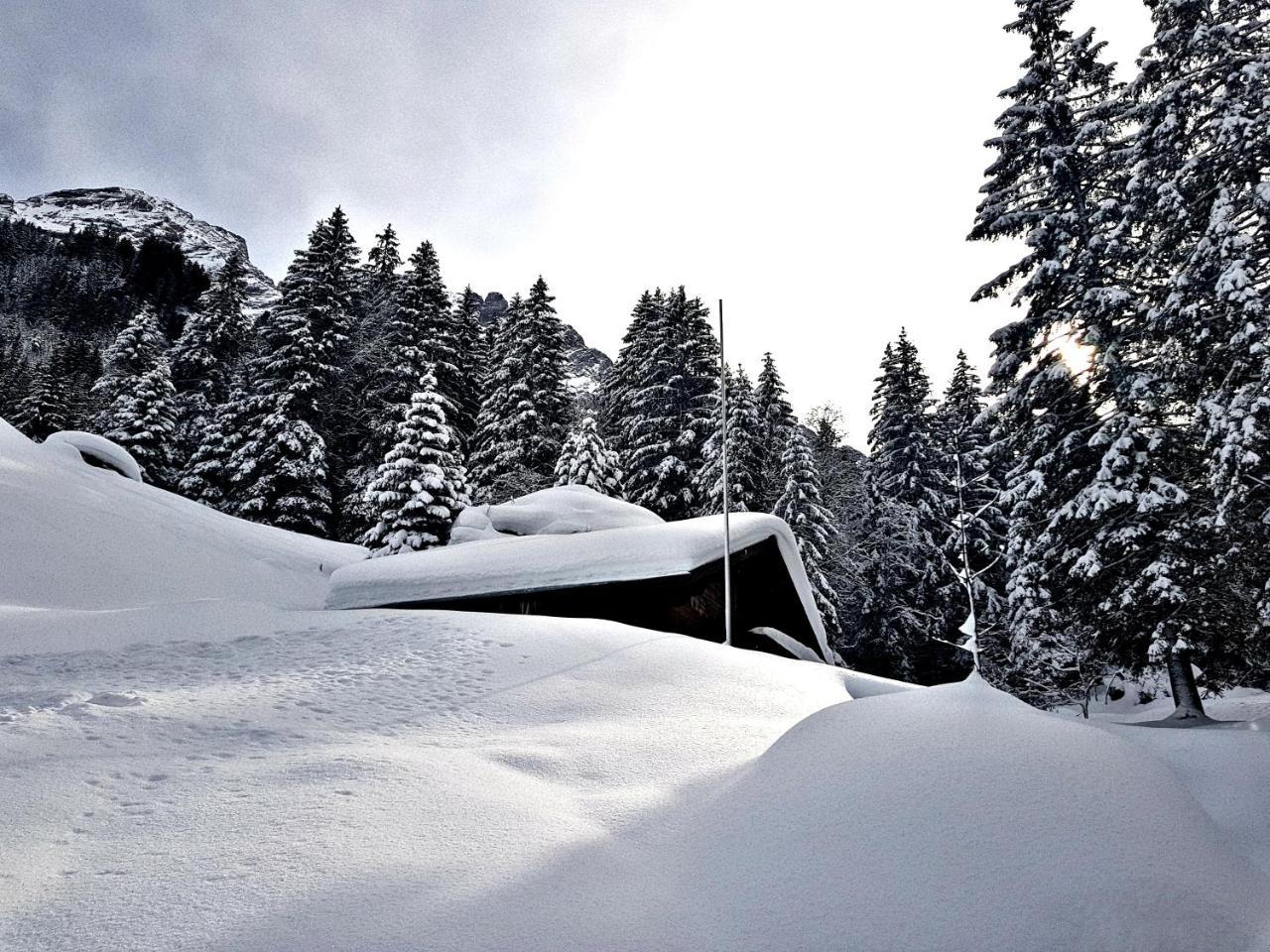 Alpenlodge Willigen Zewnętrze zdjęcie
