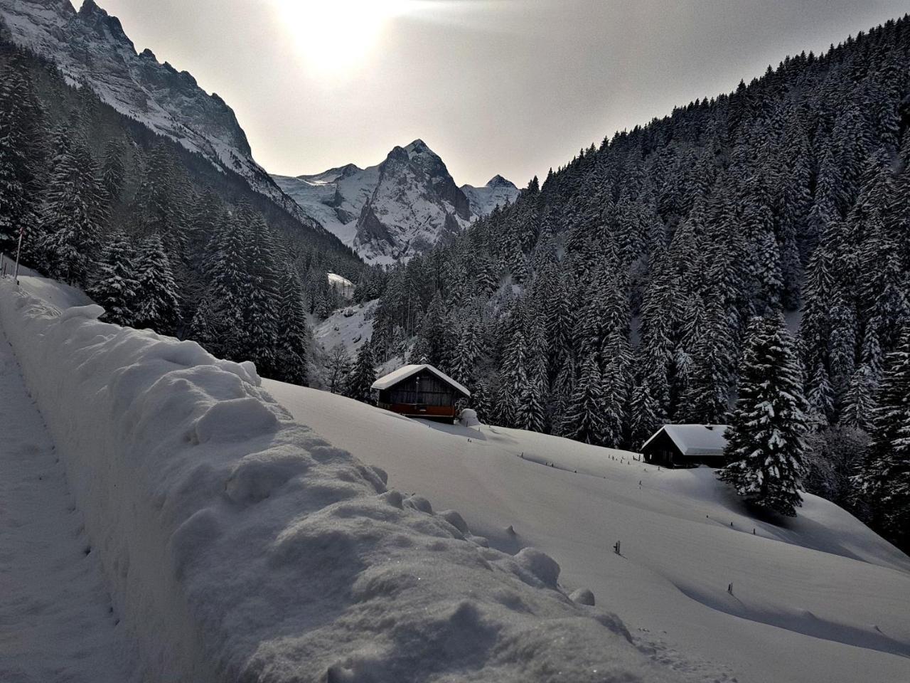 Alpenlodge Willigen Zewnętrze zdjęcie