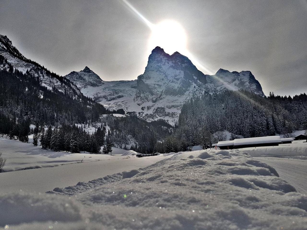 Alpenlodge Willigen Zewnętrze zdjęcie