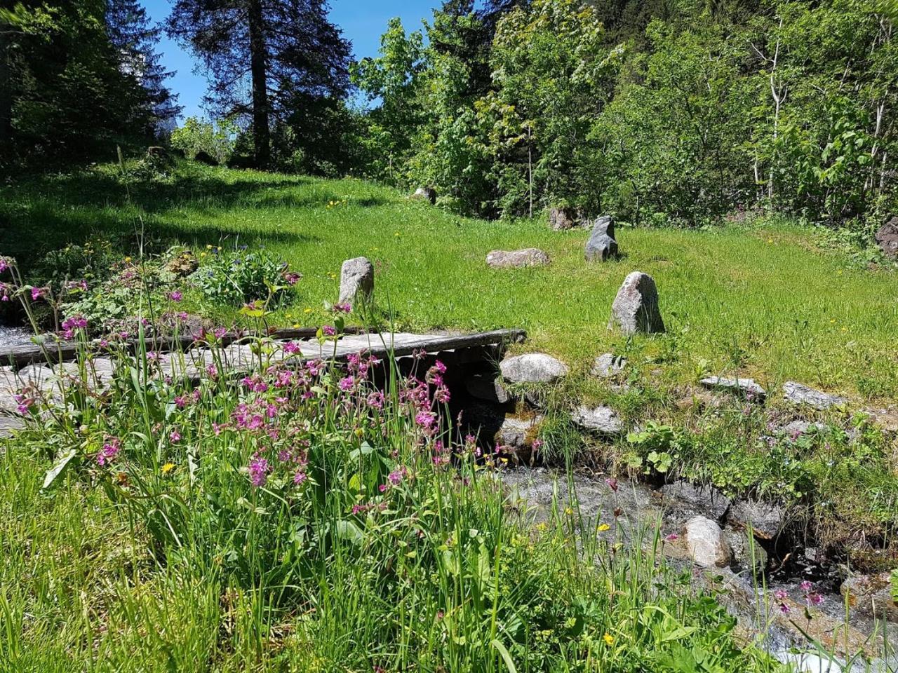 Alpenlodge Willigen Zewnętrze zdjęcie