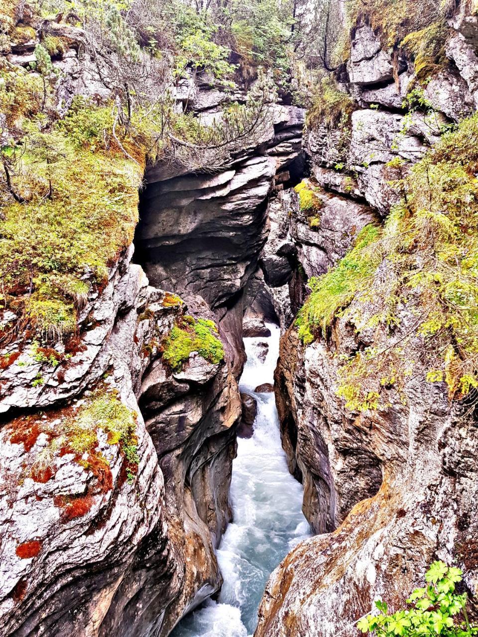 Alpenlodge Willigen Zewnętrze zdjęcie