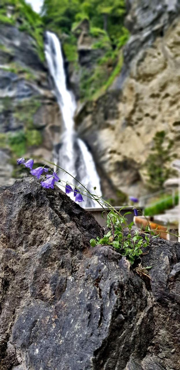 Alpenlodge Willigen Zewnętrze zdjęcie