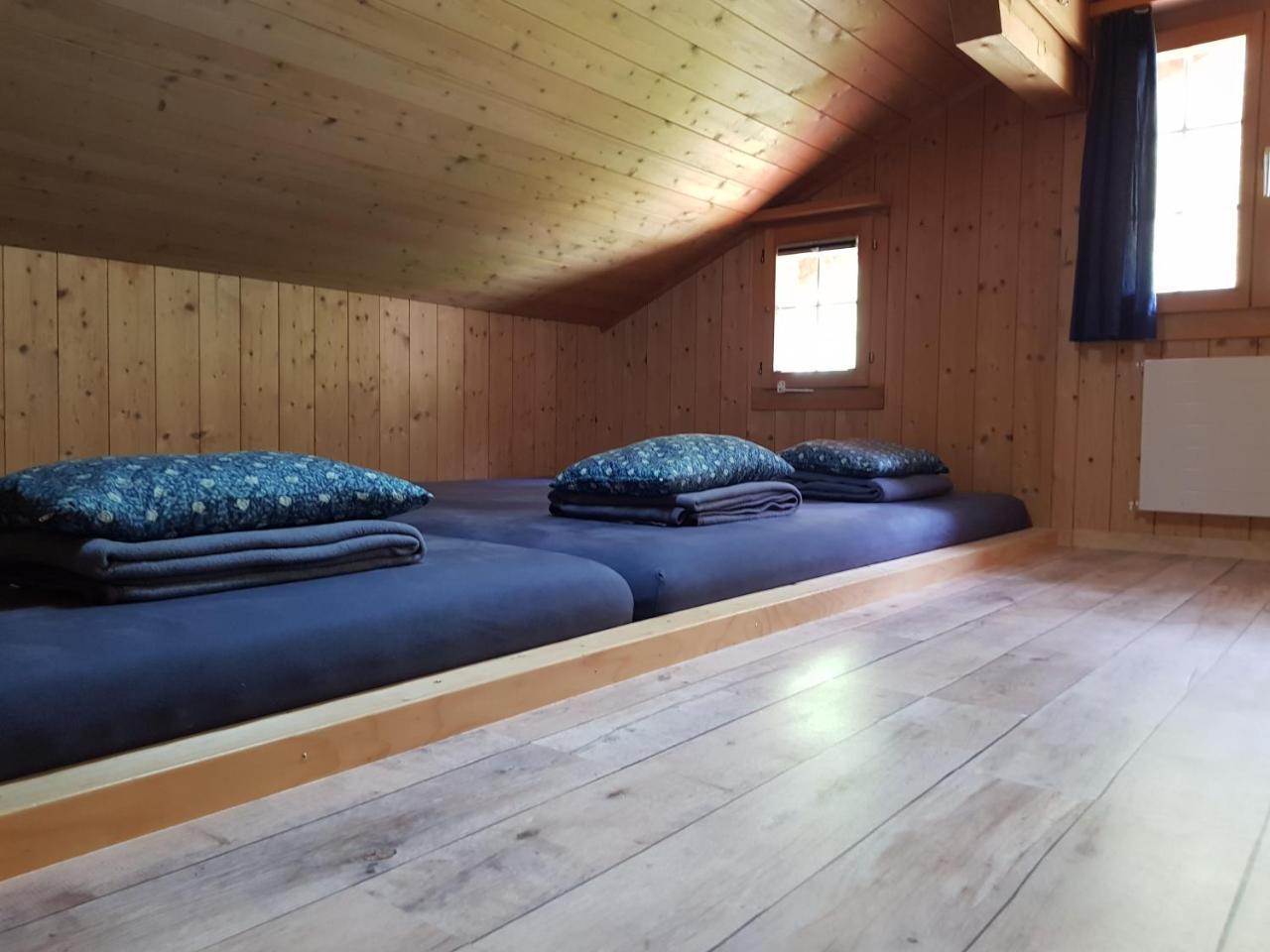 Alpenlodge Willigen Zewnętrze zdjęcie
