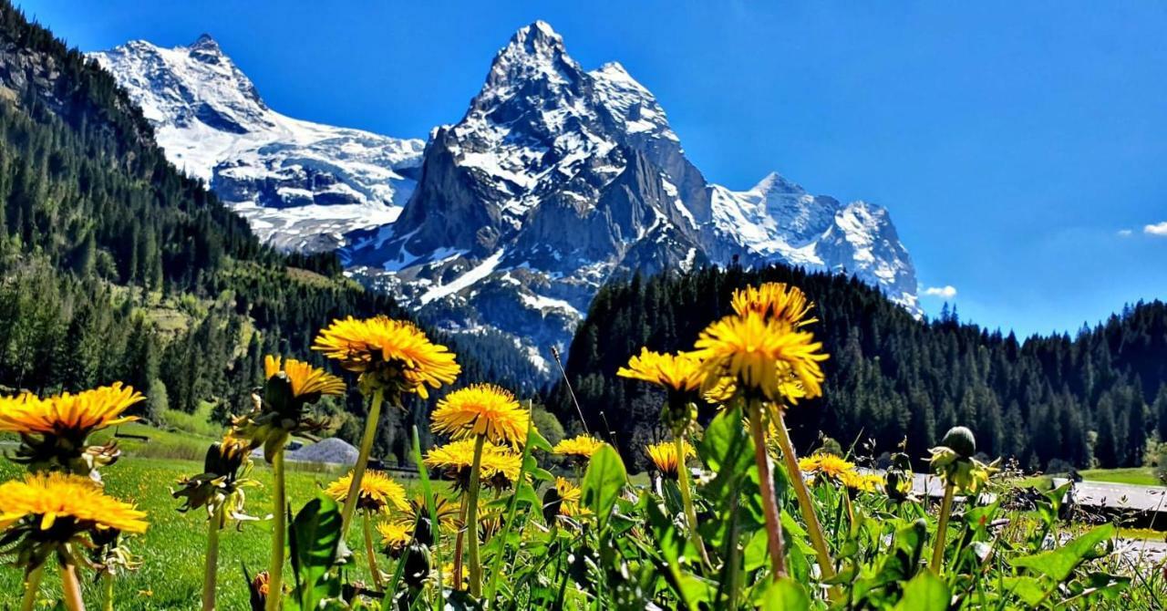 Alpenlodge Willigen Zewnętrze zdjęcie