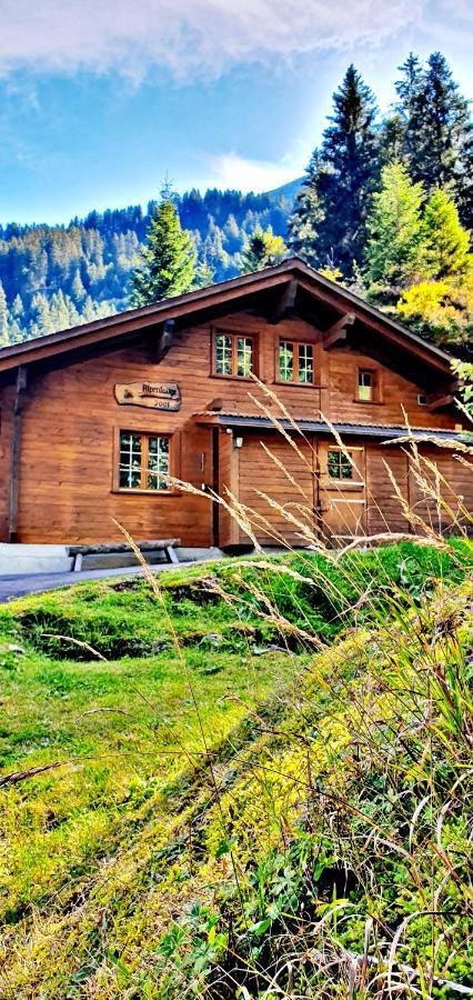 Alpenlodge Willigen Zewnętrze zdjęcie