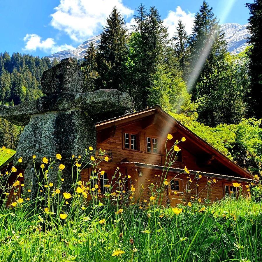 Alpenlodge Willigen Zewnętrze zdjęcie