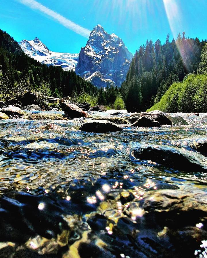 Alpenlodge Willigen Zewnętrze zdjęcie